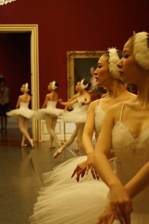 11351427 857545274317021 8628034245121932625 n