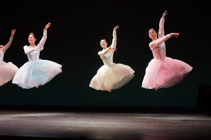 14352421 1173304442741101 3160772277072156884 o